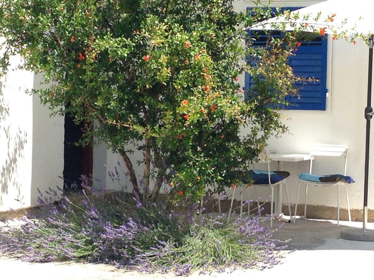 Studio Apartment Blue Window Biograd Na Moru Exterior foto